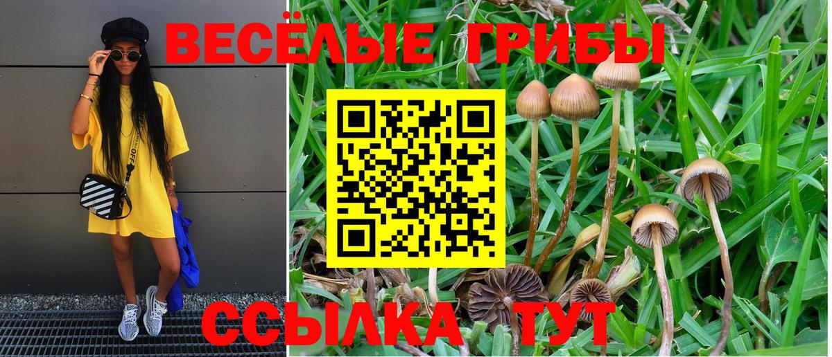 Лиски  Галлюциногенные грибы мицелий  Вход с VPN 